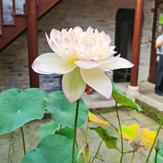 ☞αξβθθθθθΞΞΞΞ☜