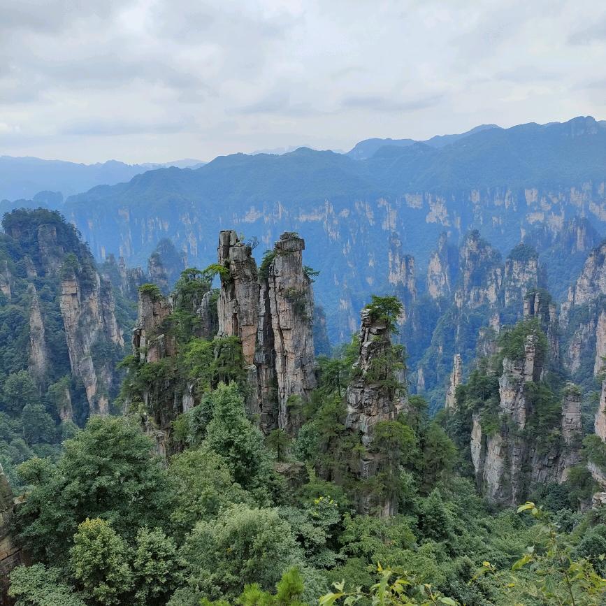 顺其自然