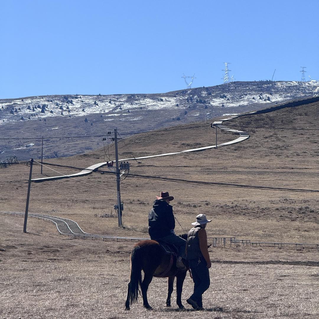 厍樱网络（ad 本地推 现户）