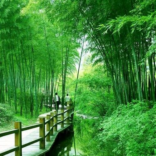 顺其自然
