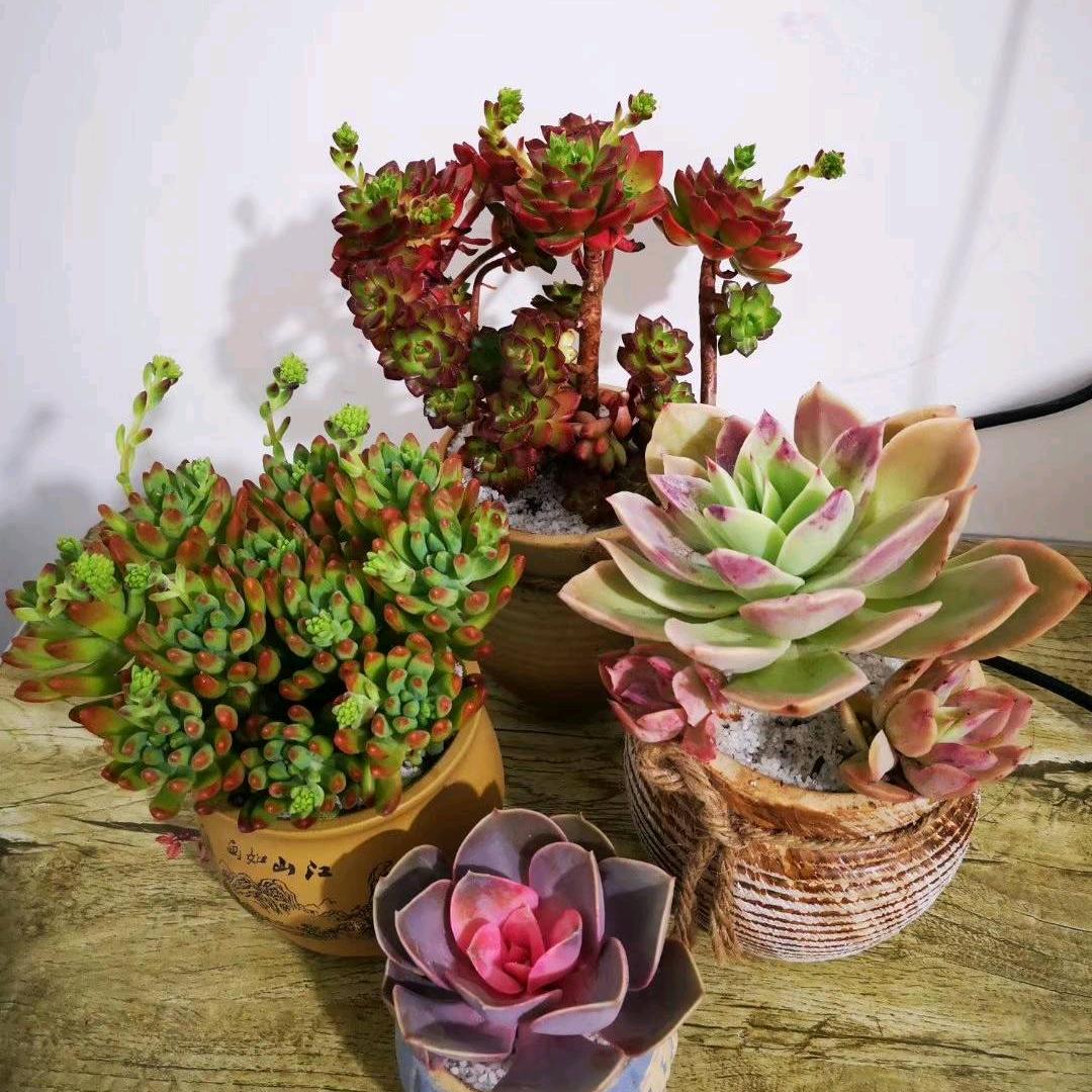 等你睡到我身边，我就不熬夜了