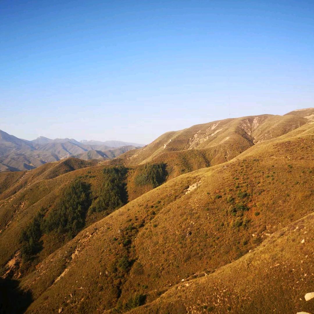 手机用户82368582334