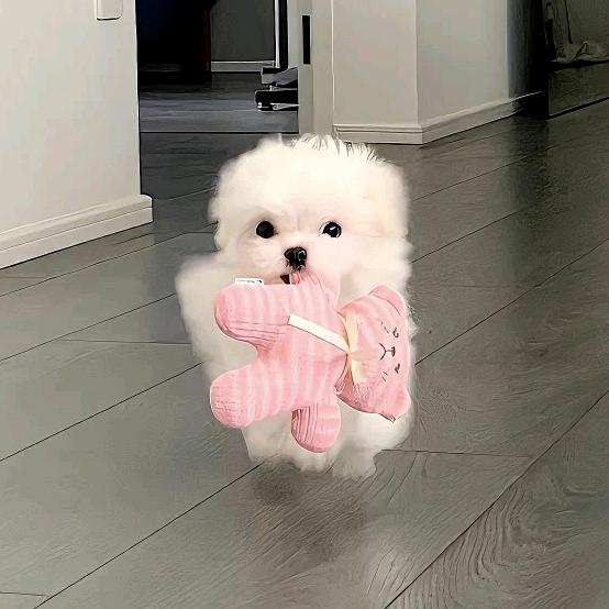 OOOOO