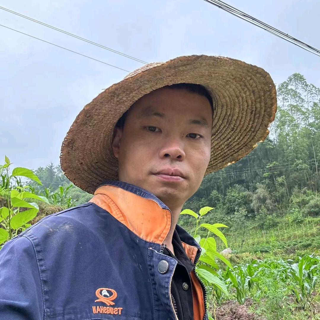 重庆波仔