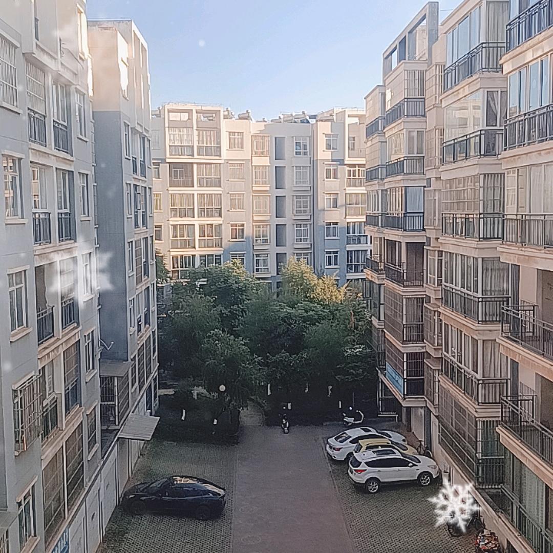 一片美景