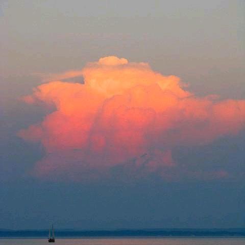 从零开始学画画