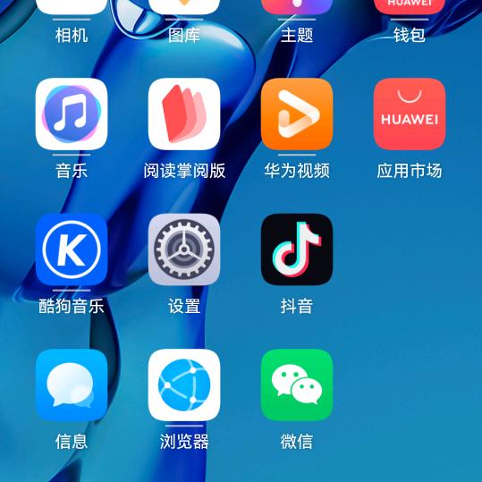 武功盖世