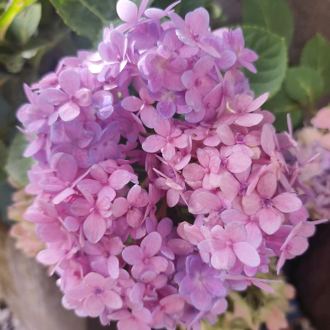 开心快乐每一天