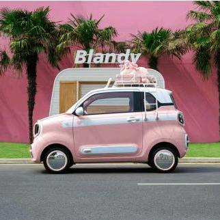 定西昇澳小马体验中心