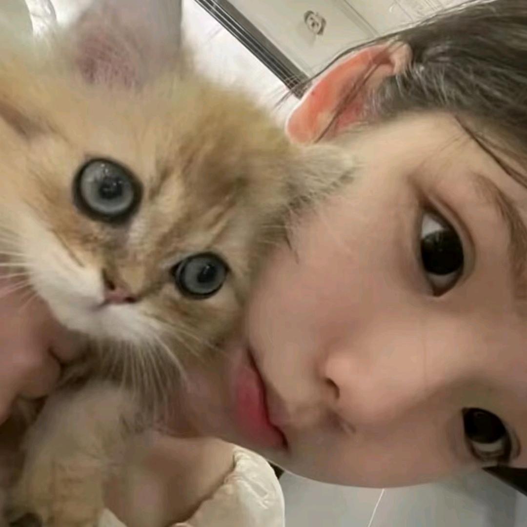 小猫不悲伤ˇ