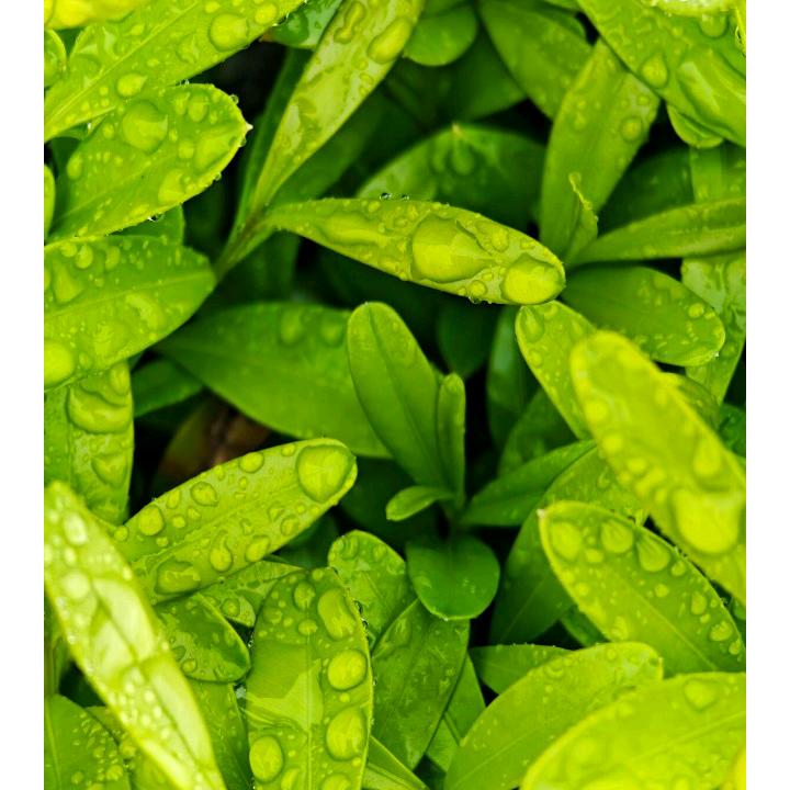 快乐日子天天有