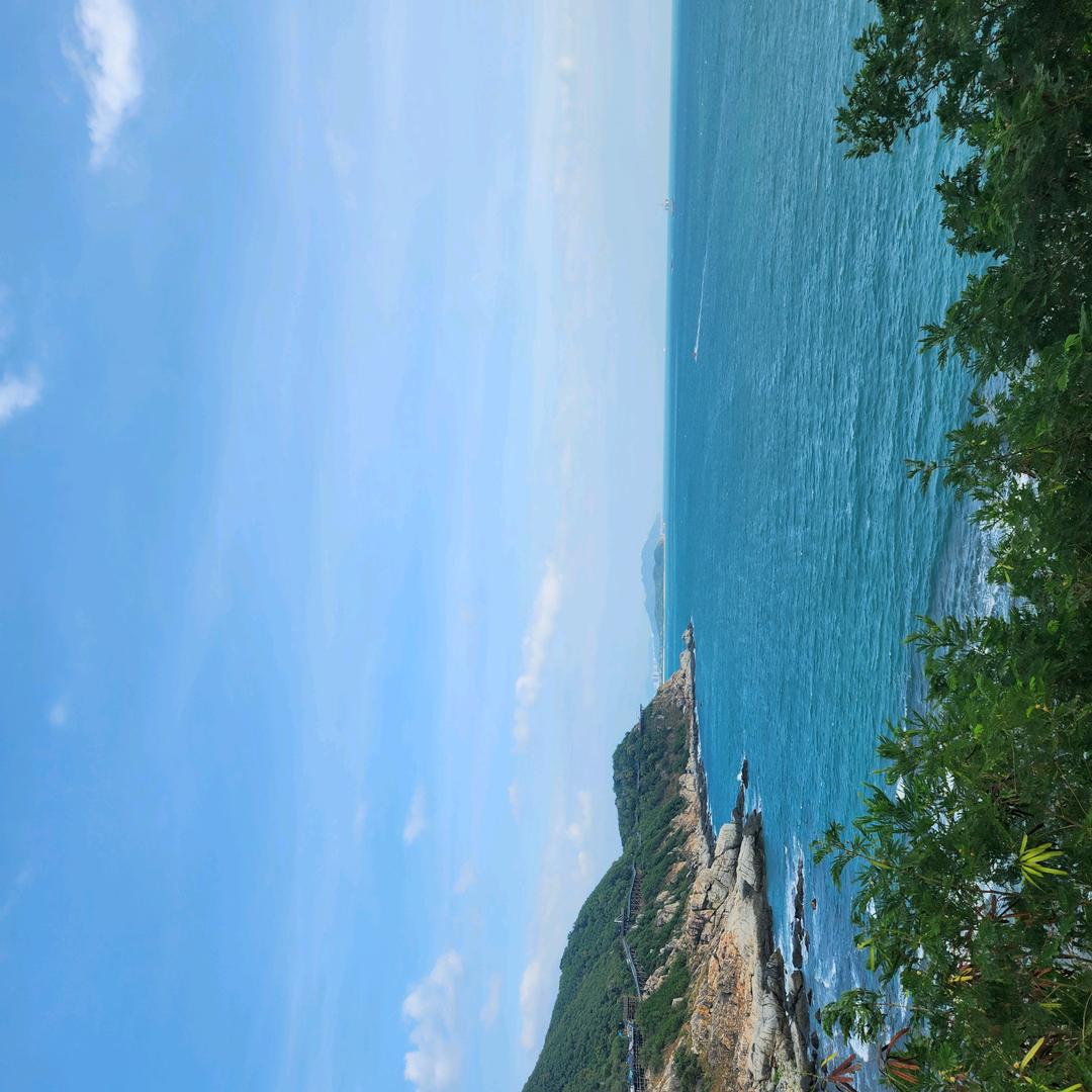明明就是你