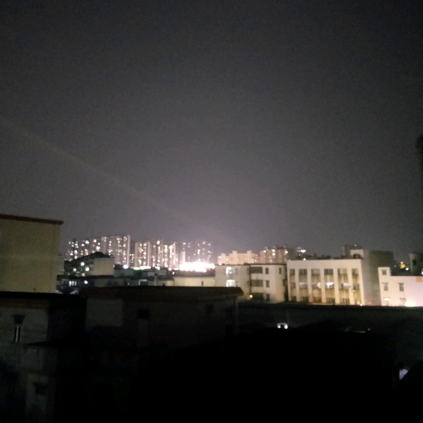 大雪压青松