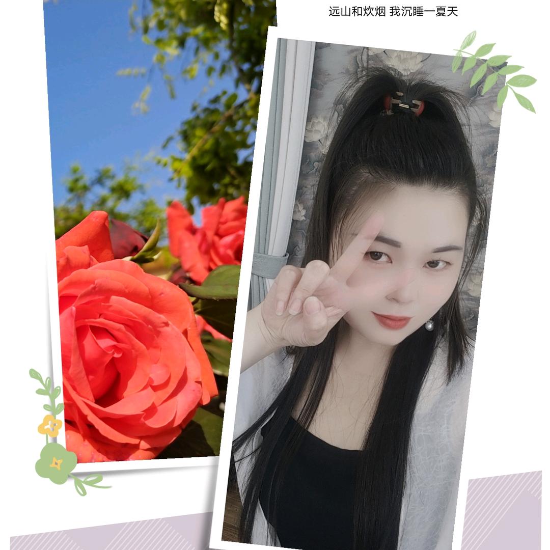 萍淡清欢
