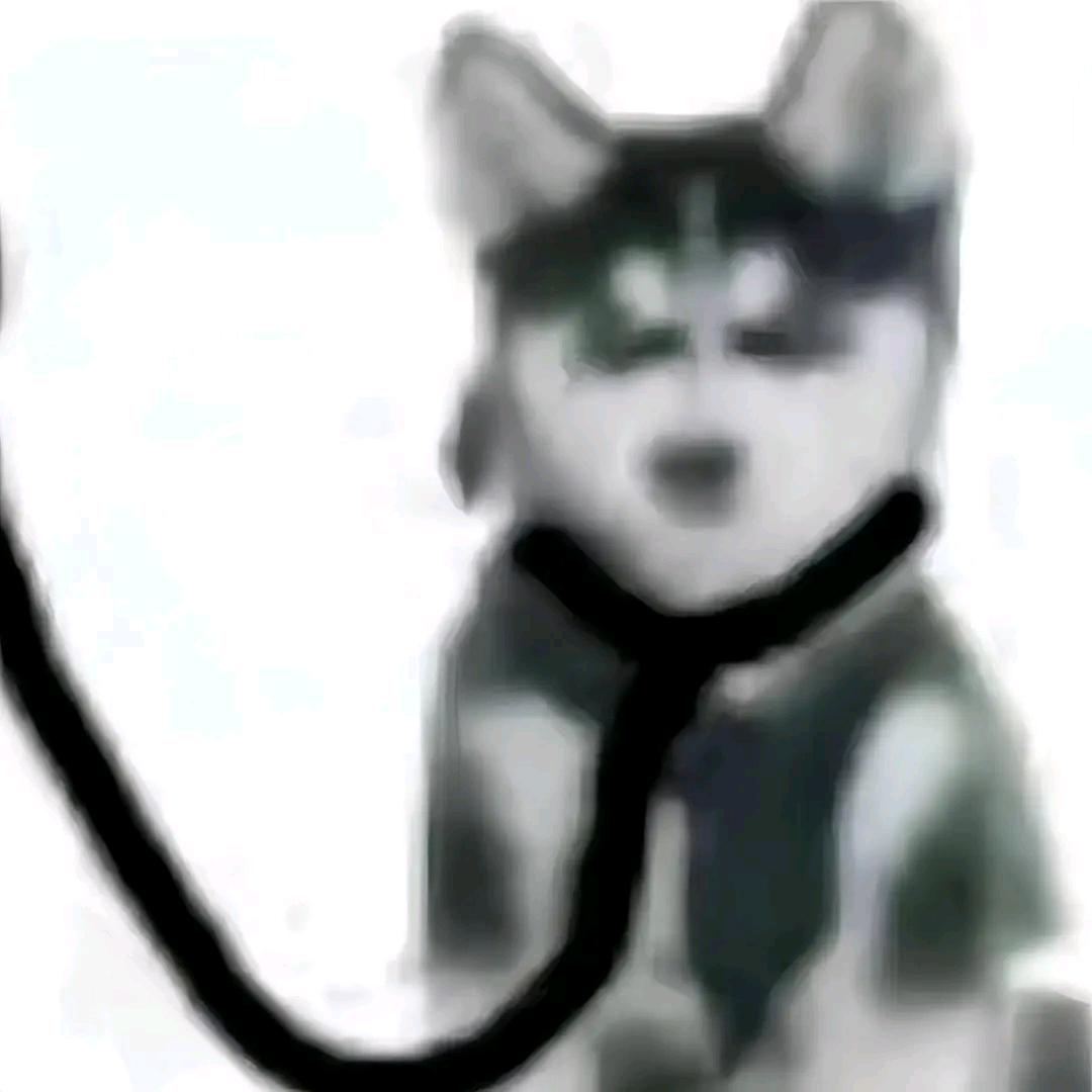 瓦尔あ君