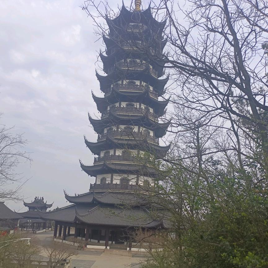 ★★从头再来★★