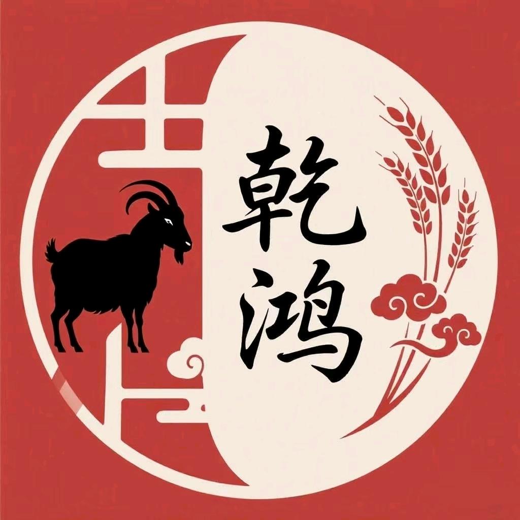 贵州乾鸿六盘水羊肉粉