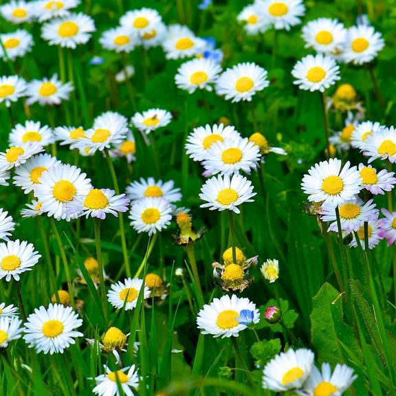 ღ᭄余生安好ღ᭄