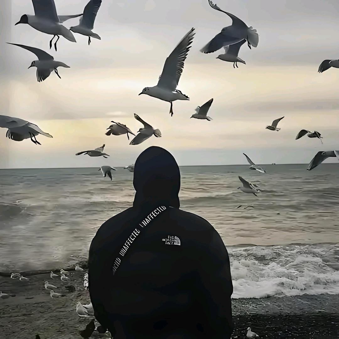 黑泽✪ω✪