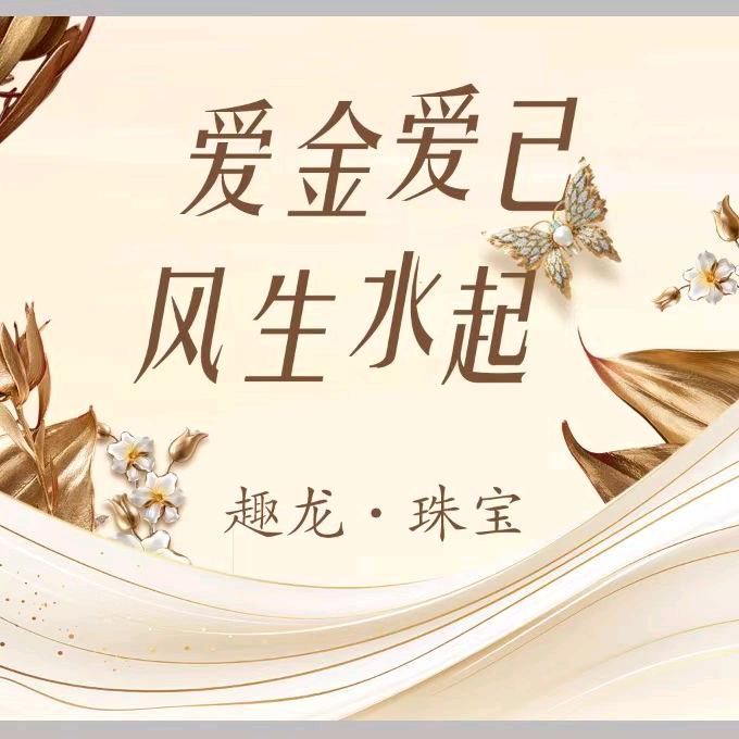 趣龙珠宝