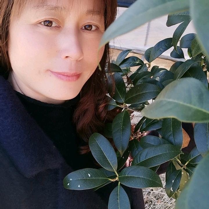 🌷🍃🌹小幸运🌷🍃🌹《拒绝私聊