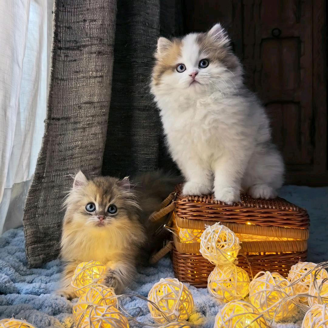 下一站安溪汽车总站