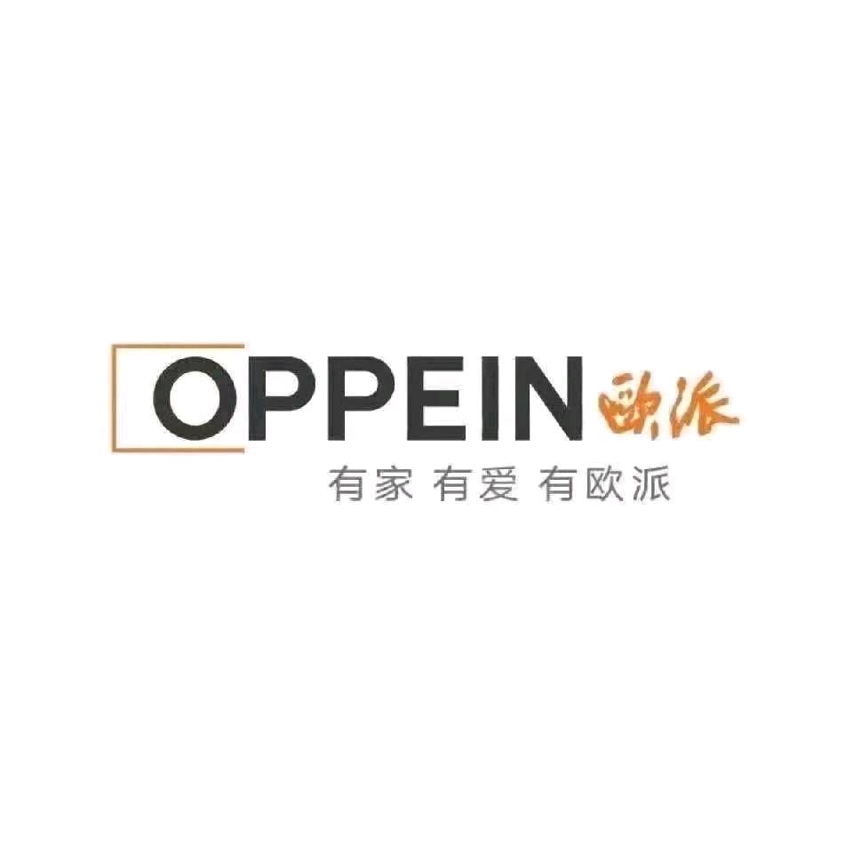 东莞石龙欧派大家居