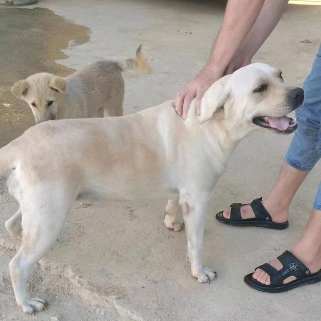 兴仁市江记海鲜冷冻豆腐批发零售店