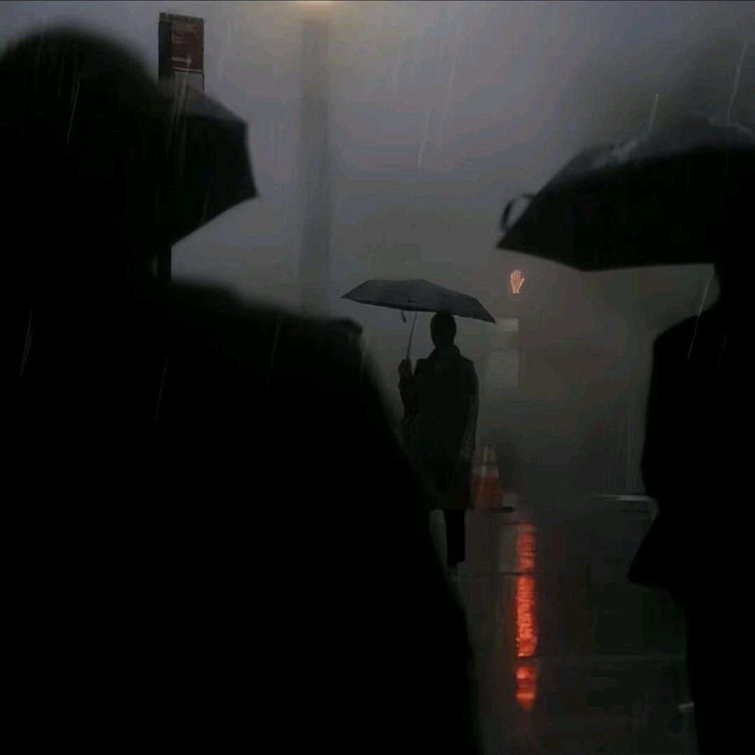 我的故事你们来听