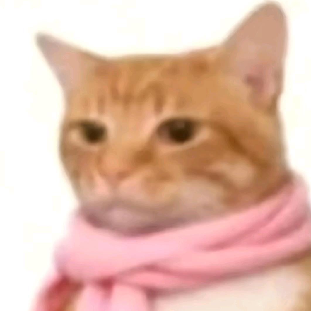 张姨