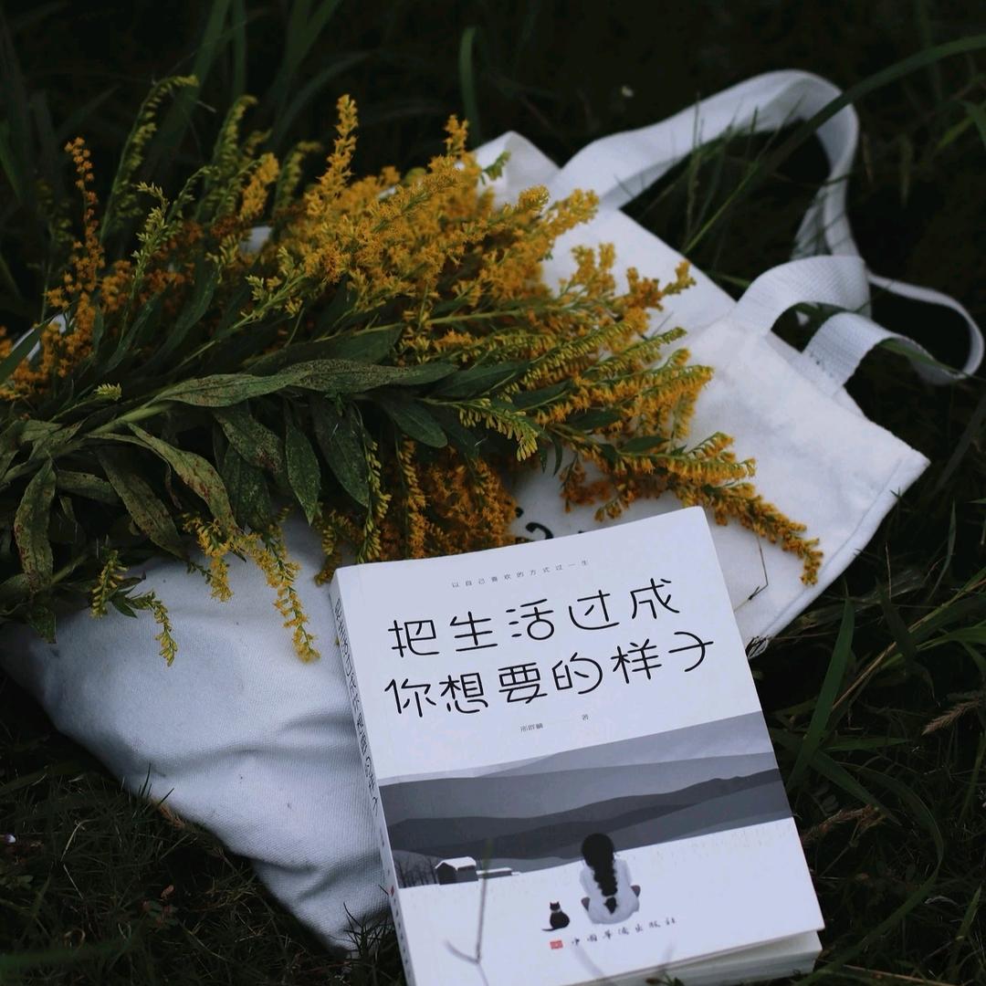 🌼᭄璀璨ꚸ星陈࿐ᩚ