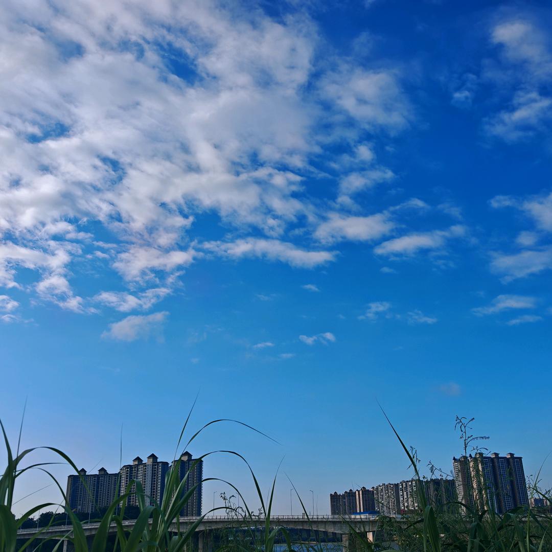 桂平-中小企业融资-陈总