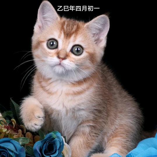 怎么开心怎么过，！！！！
