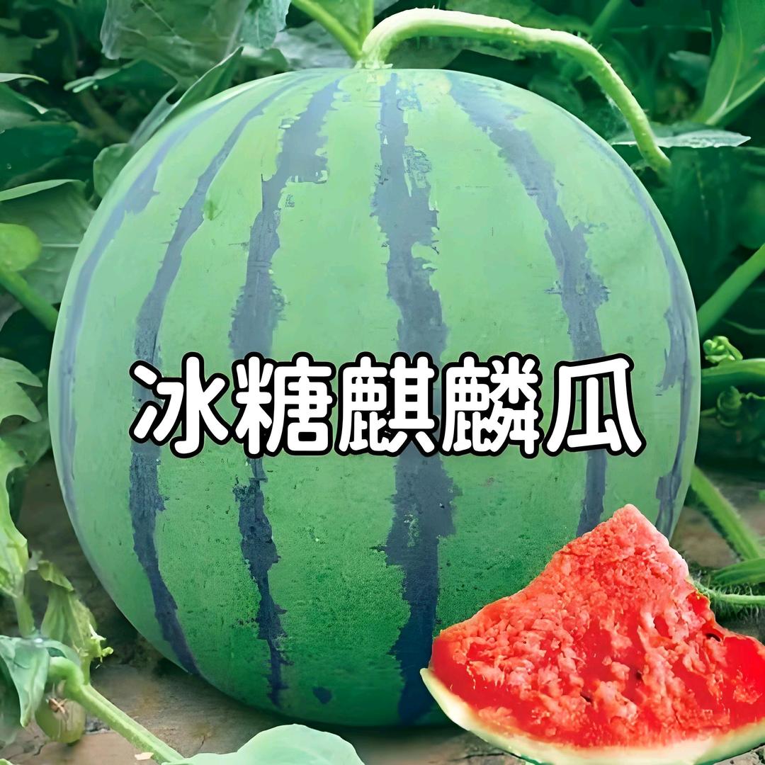 越4