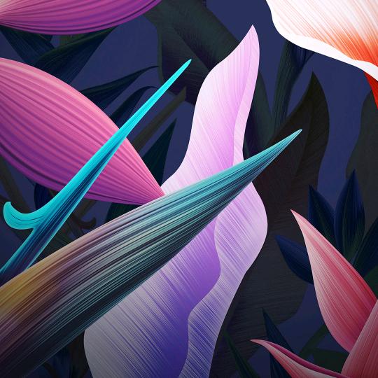 HD