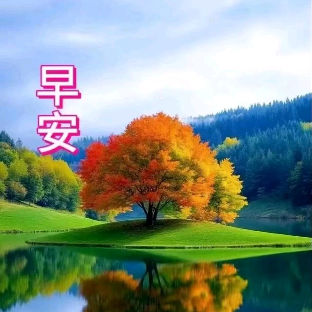 黄哥