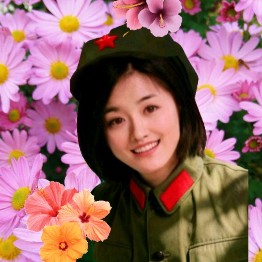 百慧人生698🌵🌴