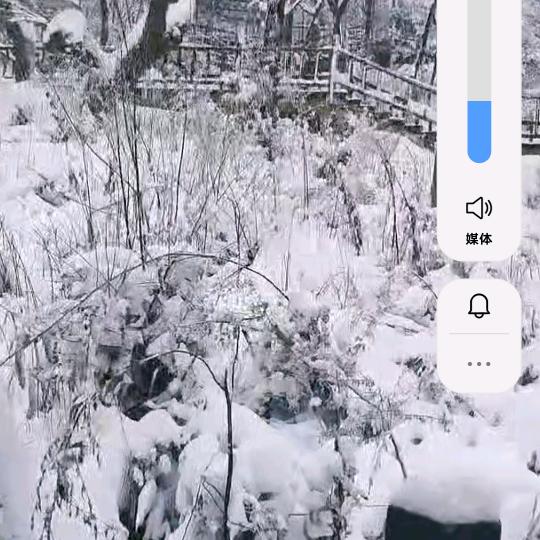 沧海