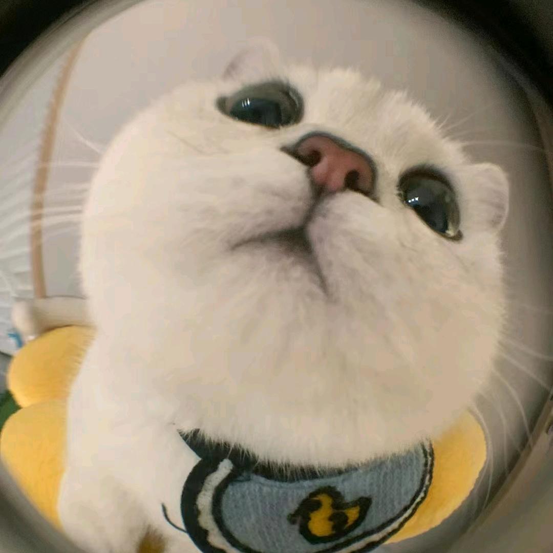 wwwwwwww.