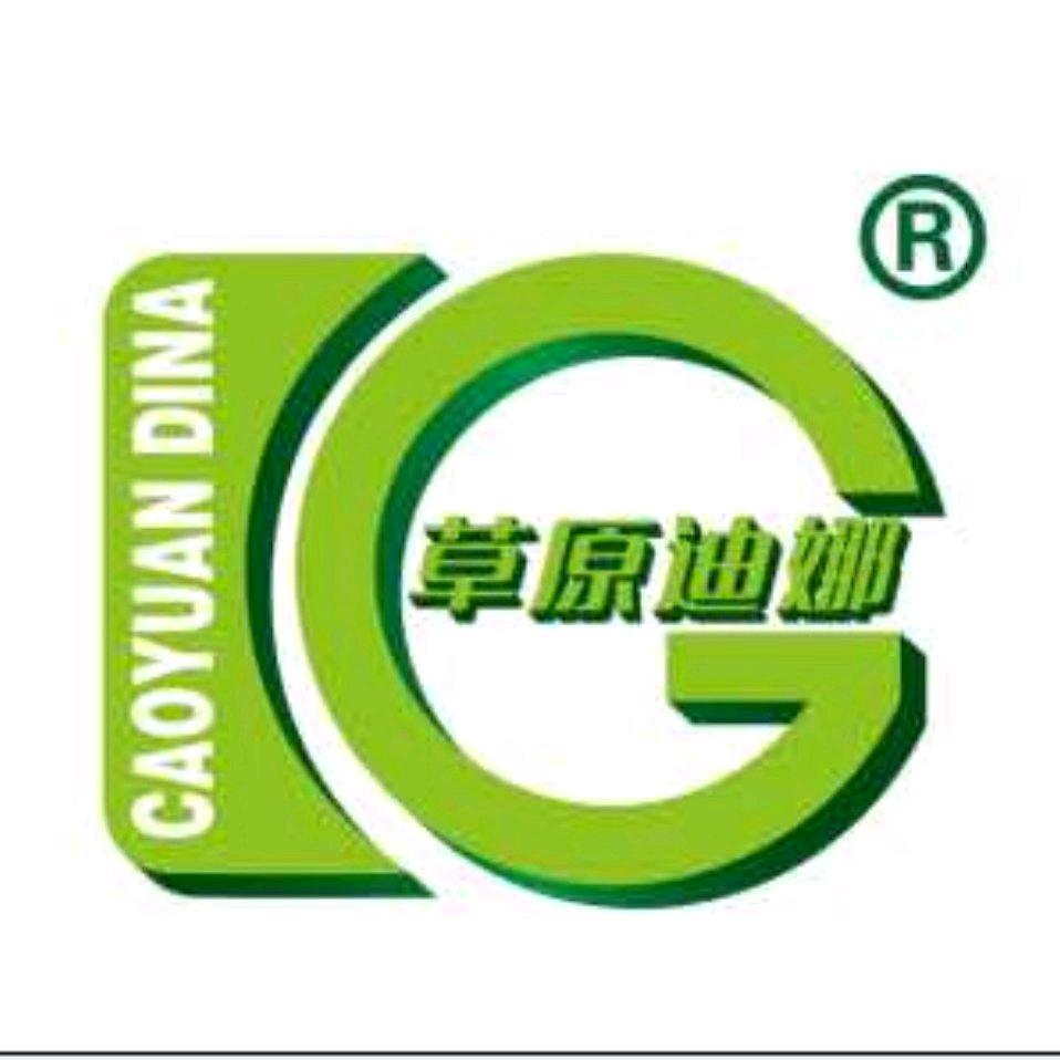 草原迪娜风干牛肉干