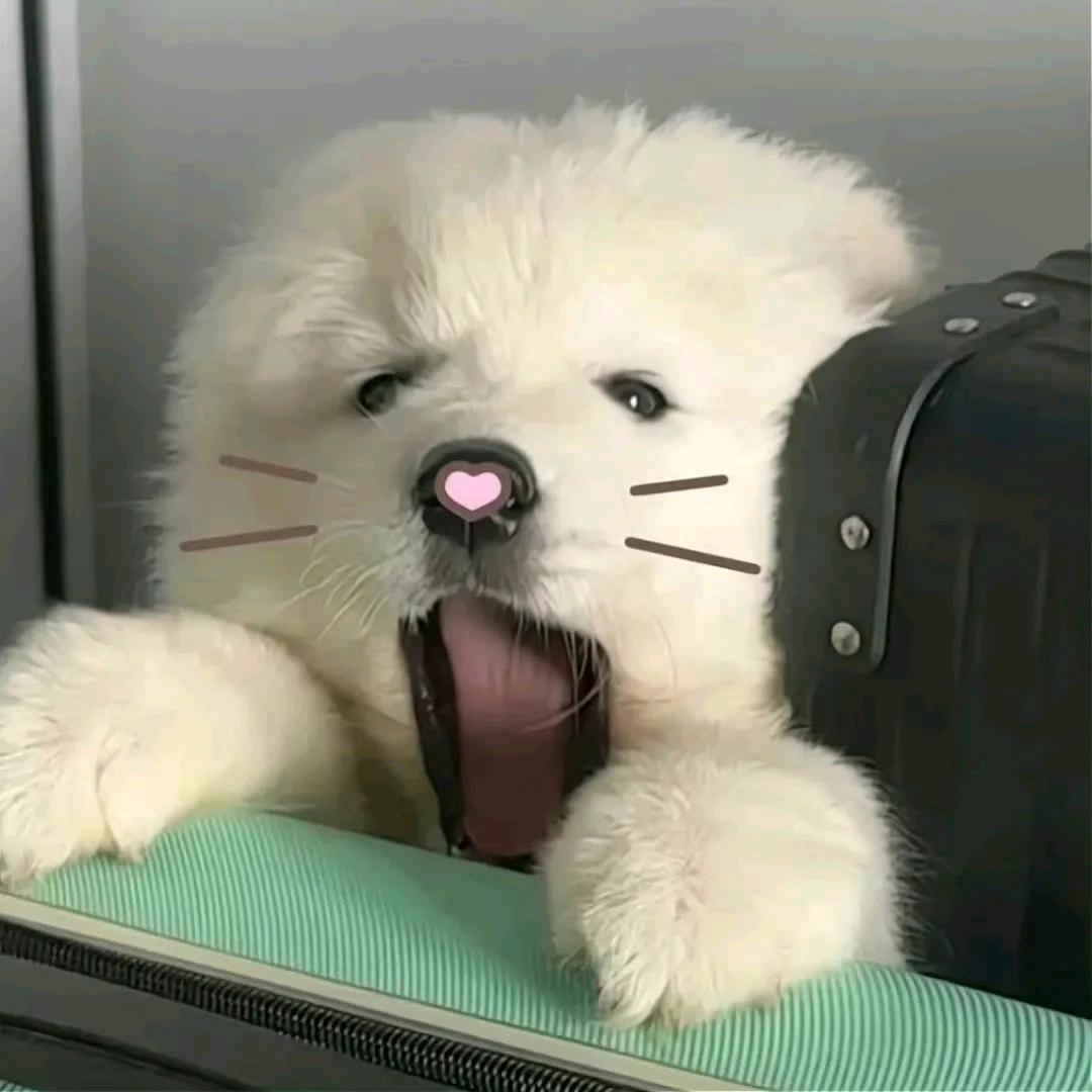 六一三☀