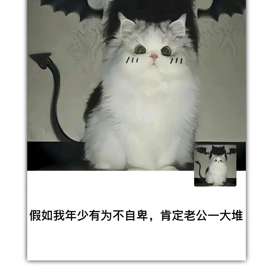 一只大橘猫