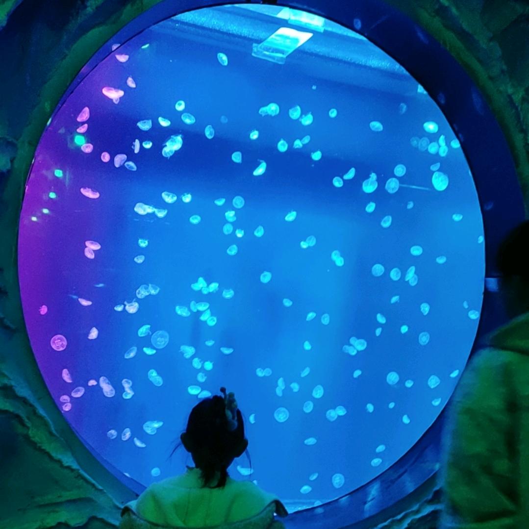 宋家 姑娘👸🏻