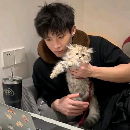 L        ‍