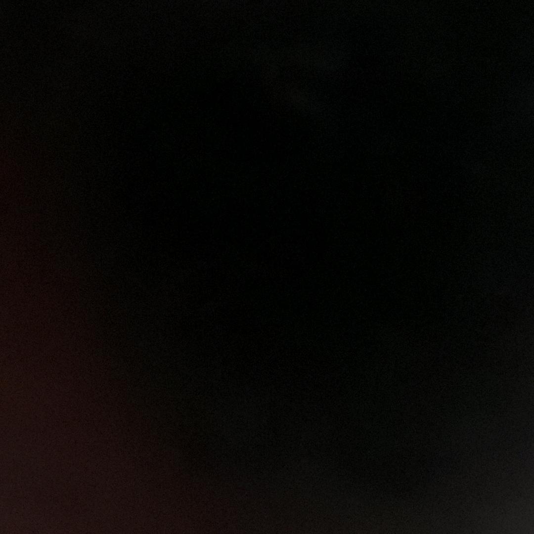 锦鲤多多