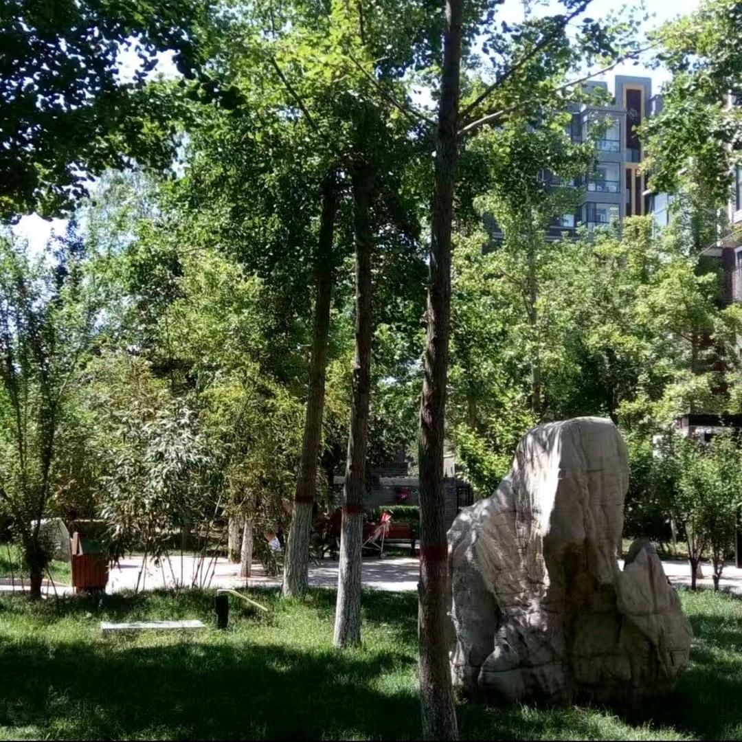 亚士