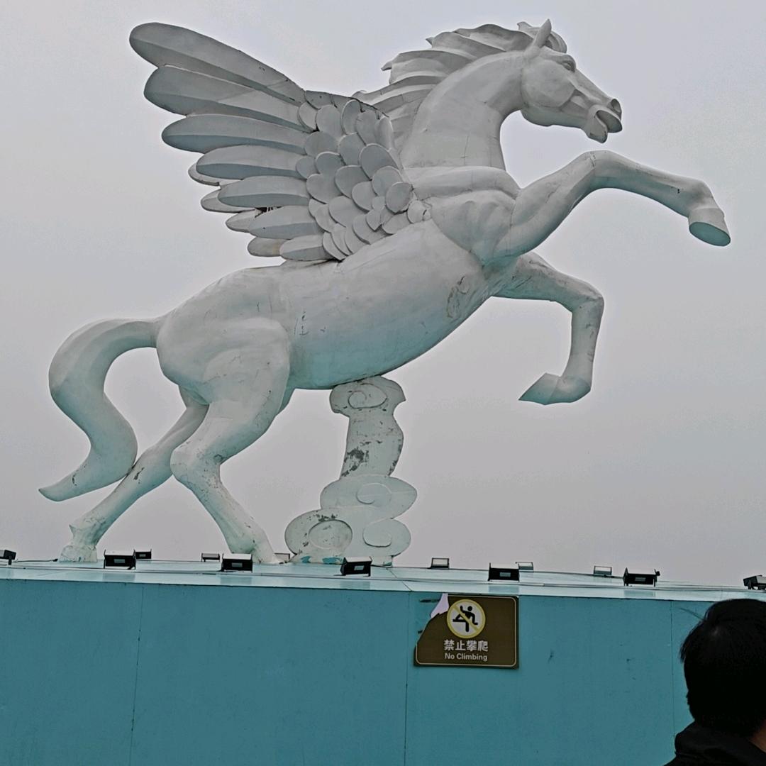 安小星