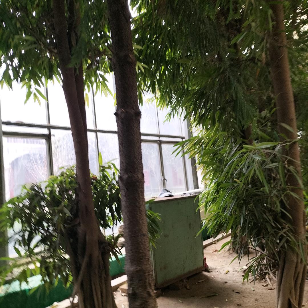 🌾顺其自然吧