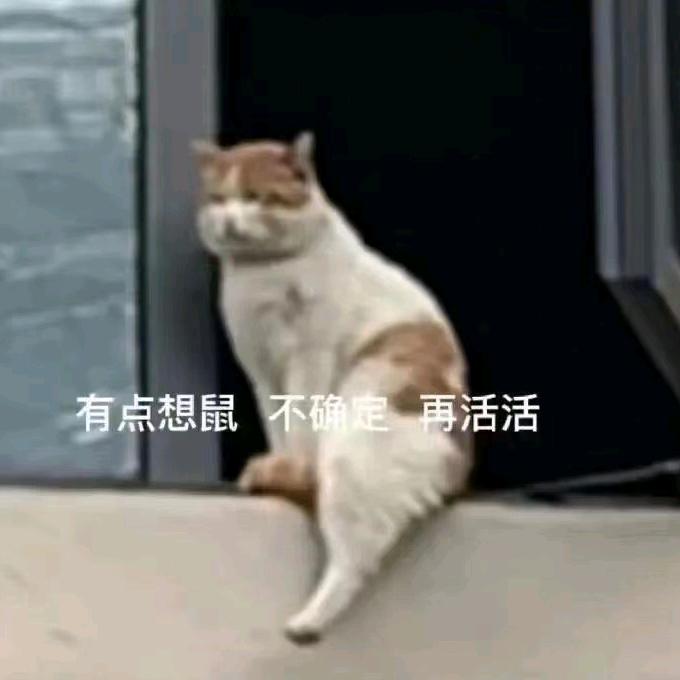 翎0-0