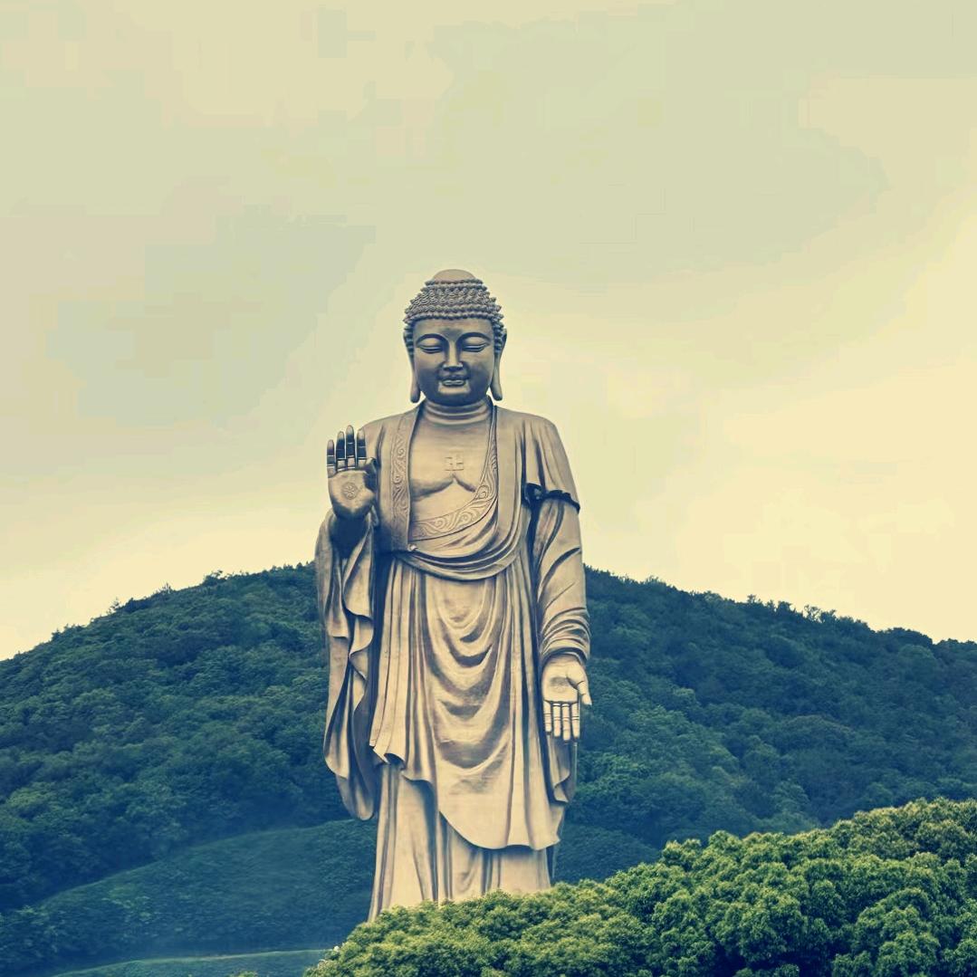 瑜总